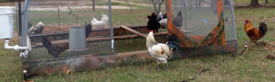 Closer Look at Our Home